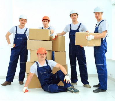 Reliable Catford storage solutions supporting organized space management