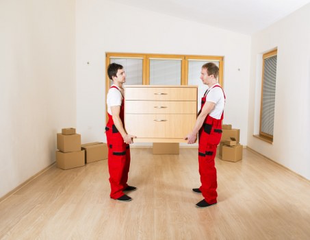 Efficient document storage in Catford for office files and paperwork